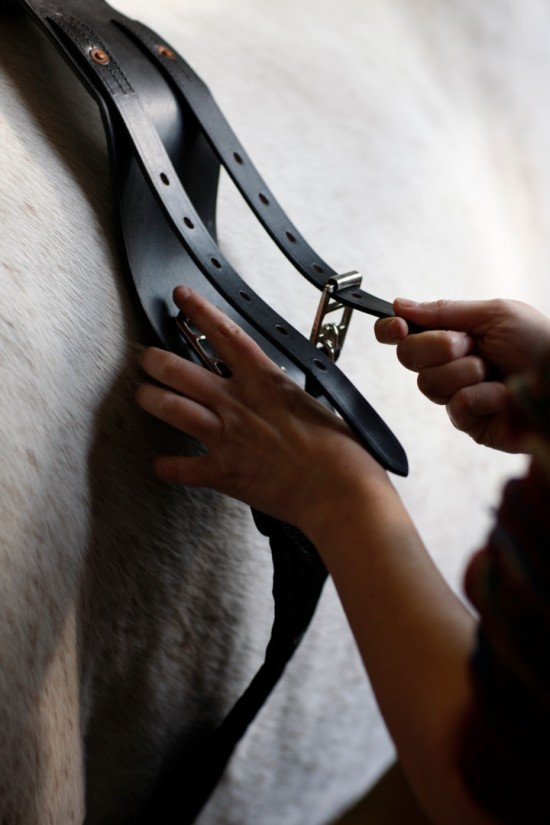 Anti Rolsingel Compleet