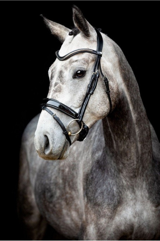 Montar Normandie Deluxe Hoofdstel