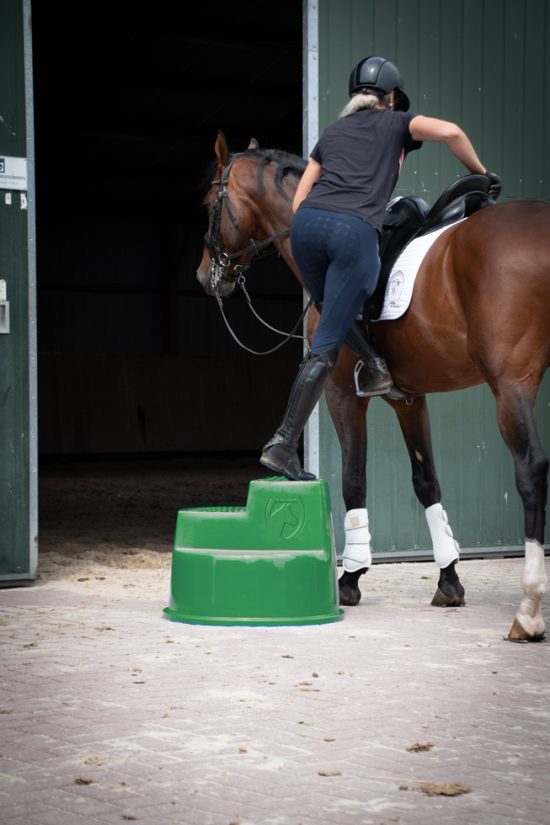 Excellent Opstaphulp 3 treden