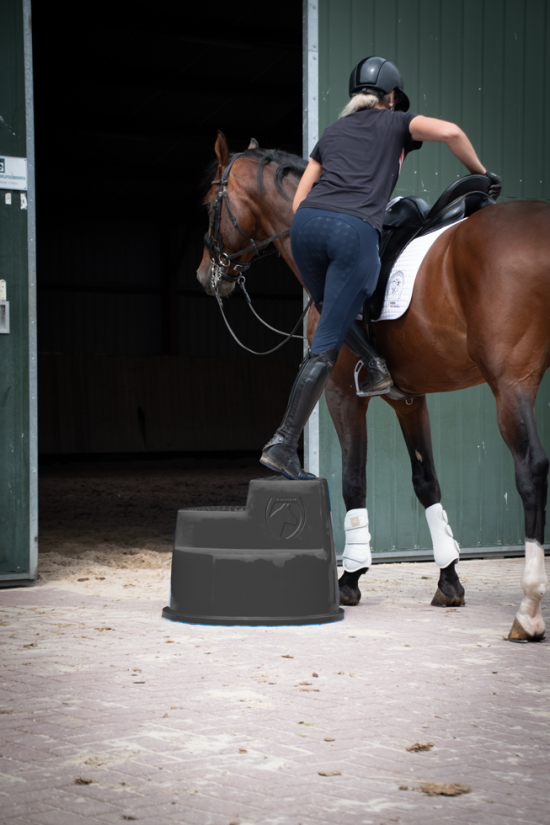 Excellent Opstaphulp 3 treden