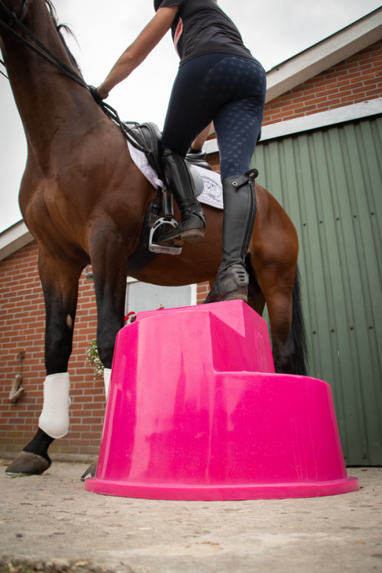 Excellent Opstaphulp 3 treden