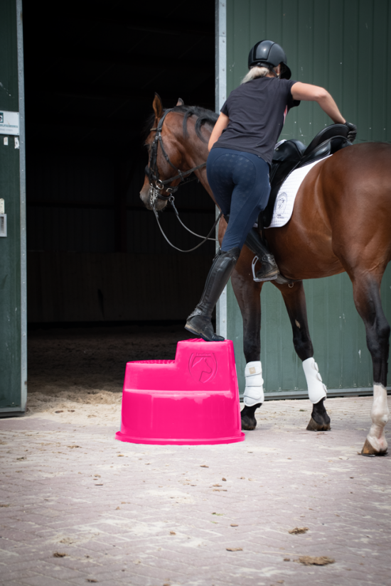 Excellent Opstaphulp 3 treden