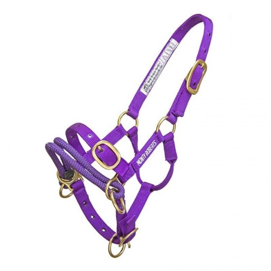 Monty Roberts Dually Halter, Paars