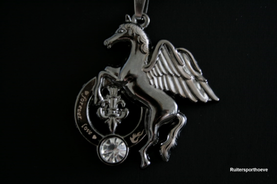 Pegasus Forever Love