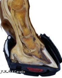 F.R.A. Cavallo Hoefschoenen SIMPLE