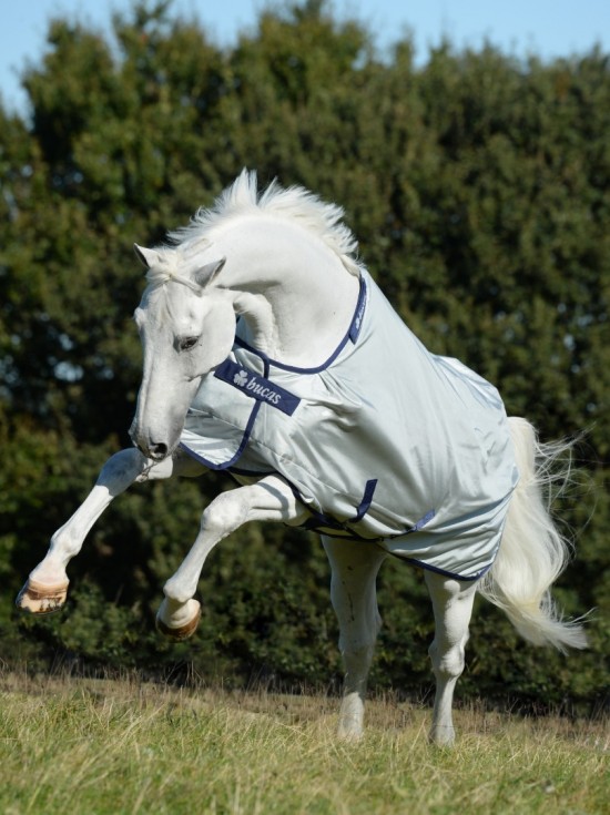 Bucas Power Turnout Medium