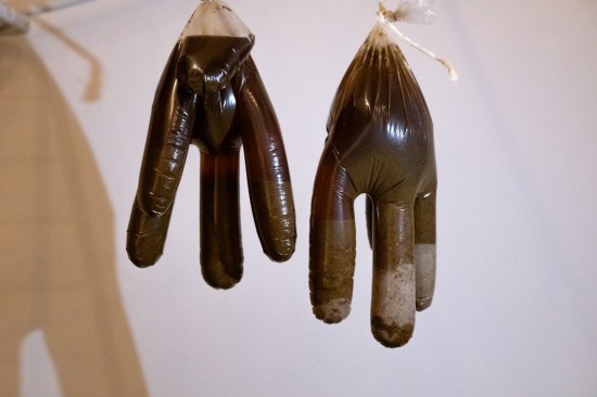 Excellent Equi Psyllium Plus