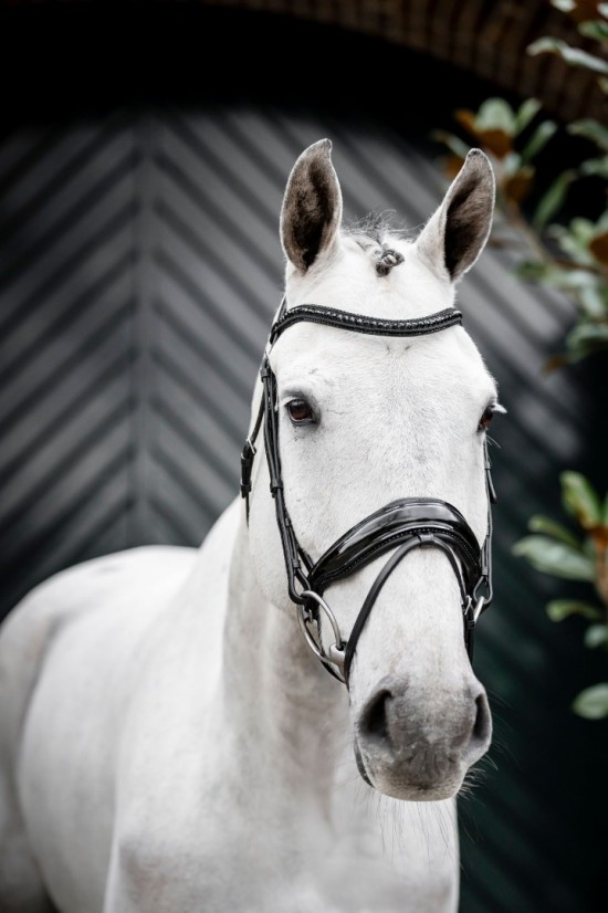 Horseware Diamante Flash Bridle