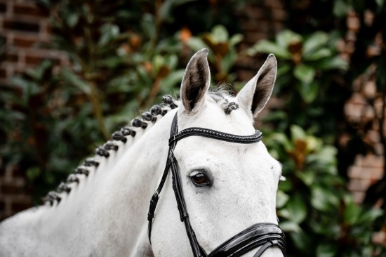 Horseware Diamante Flash Bridle