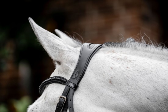 Horseware Diamante Flash Bridle