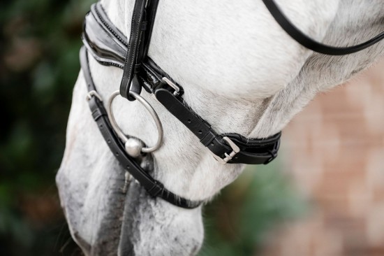 Horseware Diamante Flash Bridle