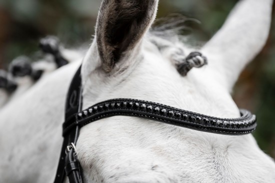 Horseware Diamante Flash Bridle