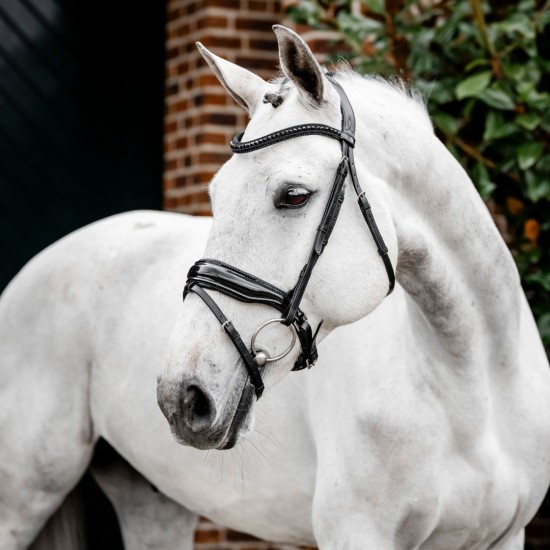 Horseware Diamante Flash Bridle