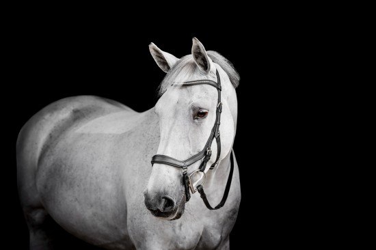 Rambo Micklem 2 Diamante Competition Bridle