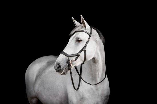 Rambo Micklem 2 Diamante Competition Bridle