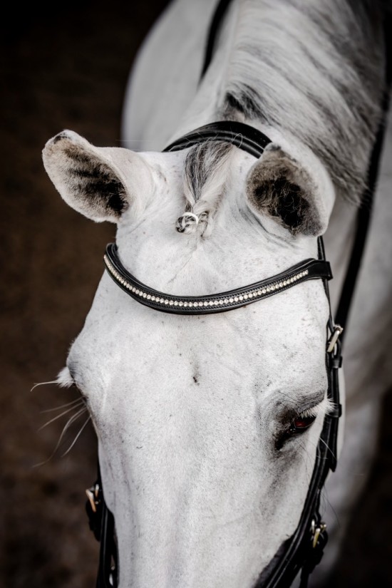 Rambo Micklem 2 Diamante Competition Bridle