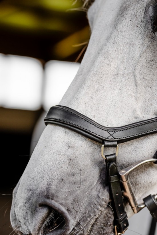 Rambo Micklem 2 Diamante Competition Bridle