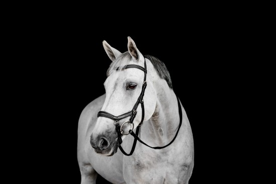 Rambo Micklem 2 Deluxe Competition Bridle, Zwart