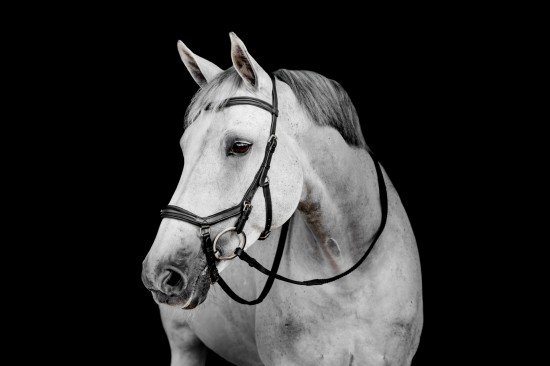 Rambo Micklem 2 Deluxe Competition Bridle, Zwart