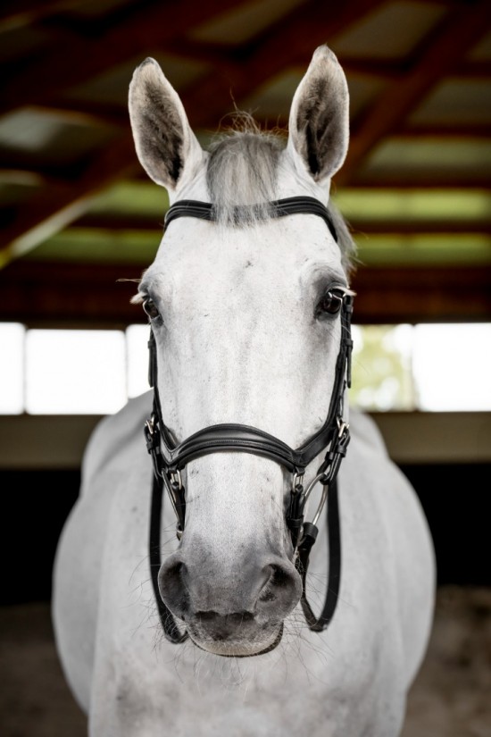 Rambo Micklem 2 Deluxe Competition Bridle, Zwart