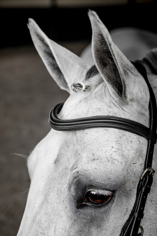 Rambo Micklem 2 Deluxe Competition Bridle, Zwart