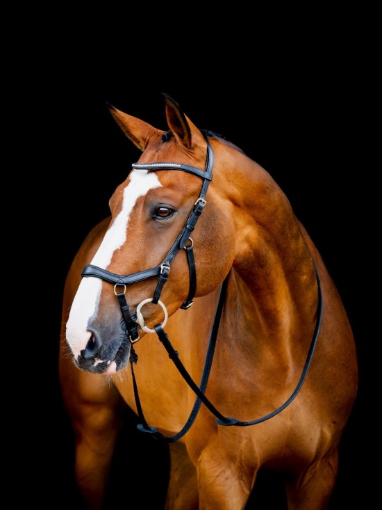 Rambo Micklem 2 Diamante Competition Bridle