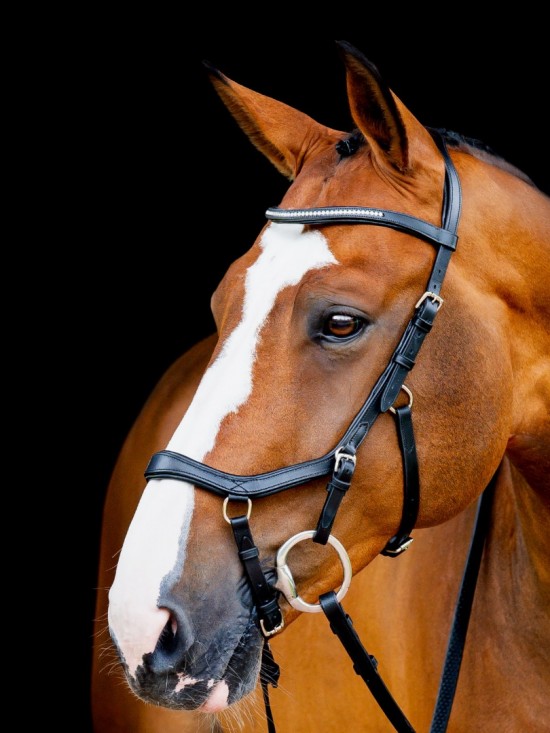 Rambo Micklem 2 Diamante Competition Bridle