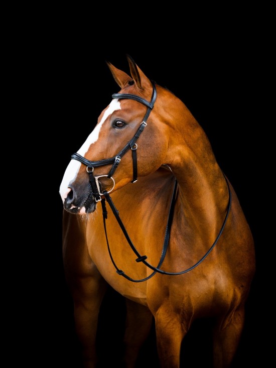 Rambo Micklem 2 Deluxe Competition Bridle, Zwart