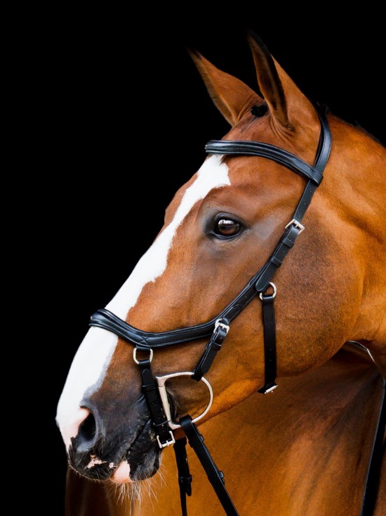 Rambo Micklem 2 Deluxe Competition Bridle, Zwart