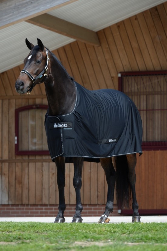 Bucas Shamrock Power