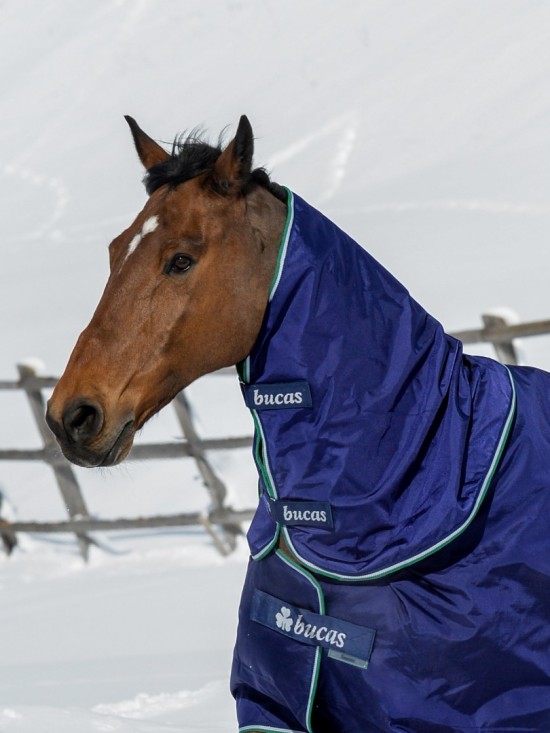 Bucas Smartex Combi Neck Blue