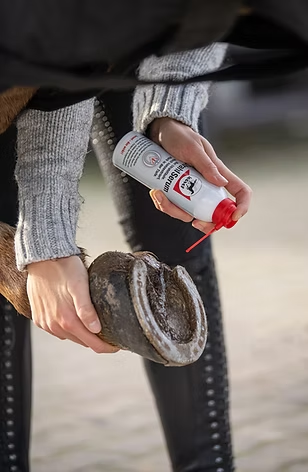 Leovet Straalsan Spray