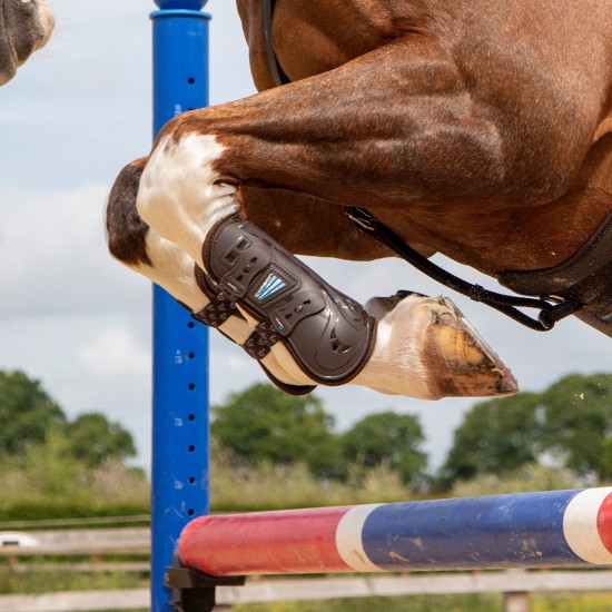 Shires Arma Carbon Peesbeschermers Bruin