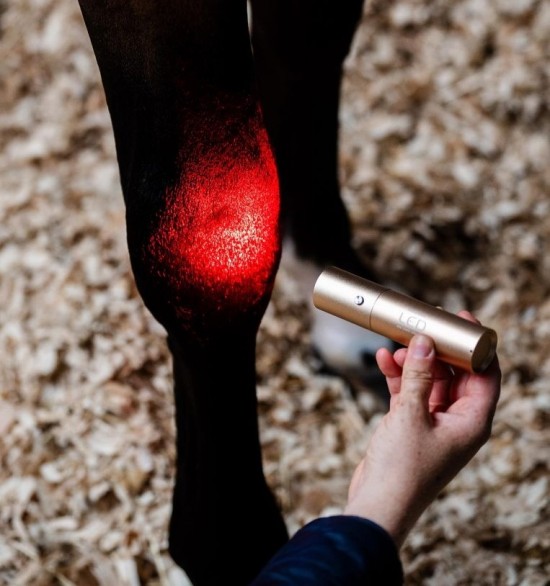 Horseware LED Red Light Therapy Lamp