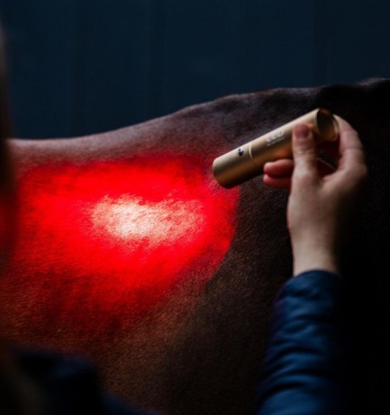Horseware LED Red Light Therapy Lamp