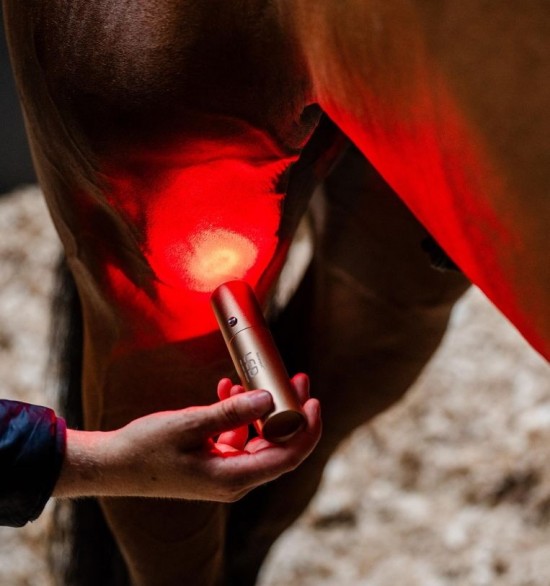 Horseware LED Red Light Therapy Lamp