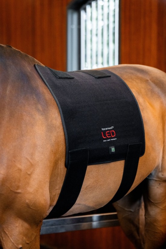 Horseware LED Red Light Therapy Pad