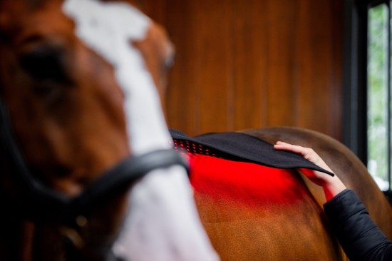 Horseware LED Red Light Therapy Pad