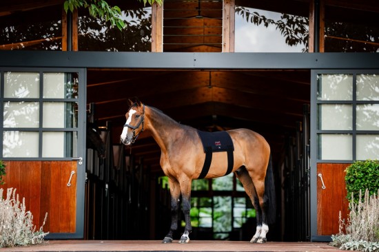 Horseware LED Red Light Therapy Pad