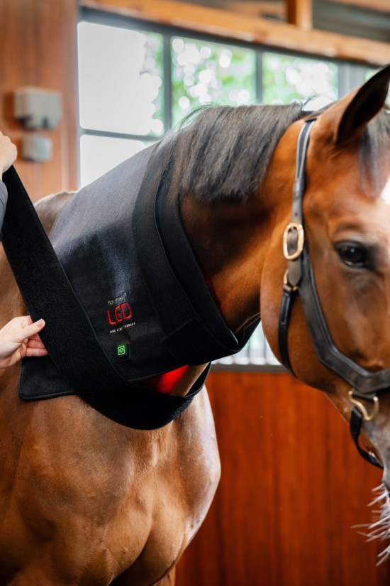 Horseware LED Red Light Therapy Pad