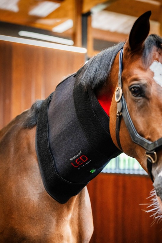 Horseware LED Red Light Therapy Pad