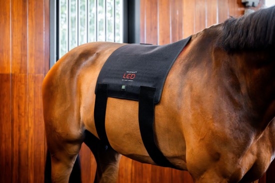 Horseware LED Red Light Therapy Pad