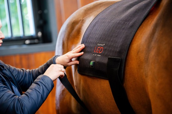 Horseware LED Red Light Therapy Pad
