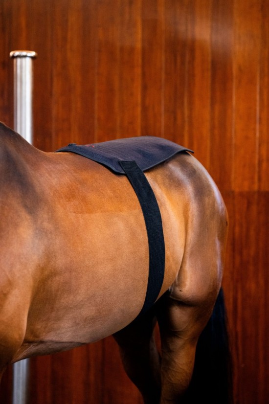 Horseware LED Red Light Therapy Pad