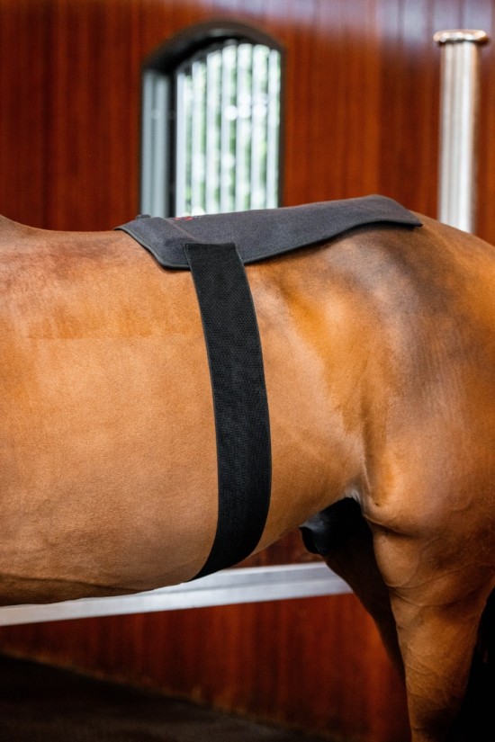 Horseware LED Red Light Therapy Pad