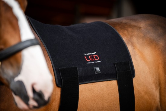 Horseware LED Red Light Therapy Pad