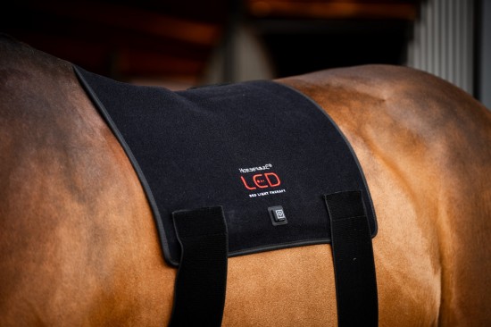 Horseware LED Red Light Therapy Pad
