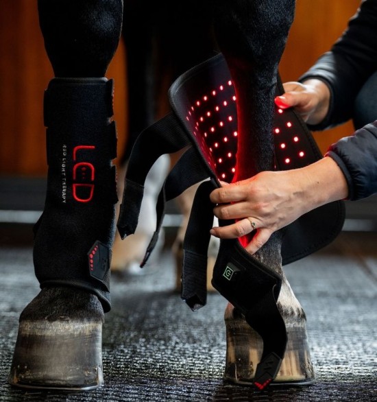 Horseware LED Red Light Therapy Leg Wrap
