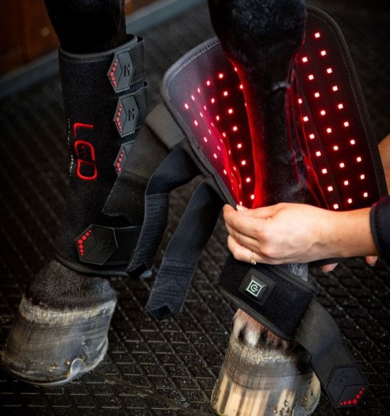 Horseware LED Red Light Therapy Leg Wrap