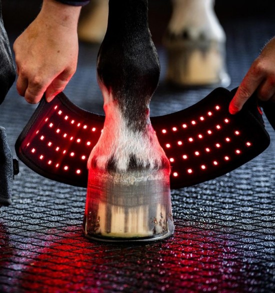 Horseware LED Red Light Therapy Mini Wrap